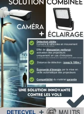 MALLTIS_DETECVEL_2025 pdg